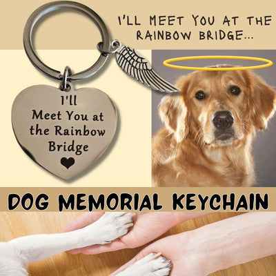 Loss Of Pet Memorial Keychain Dog Cat Jewelry Sympathy Key Ring - Rainbow Bridge