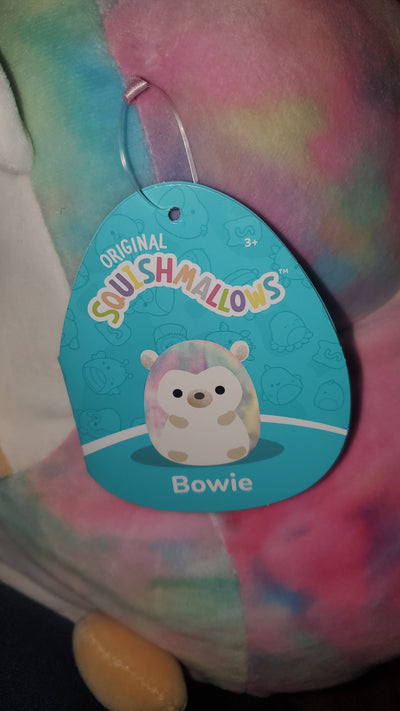 Squishmallows Bowie The Hedgehog by Kellytoy Rainbow Colored Soft Squishy Pillow Pet Stuffed Animal Toy